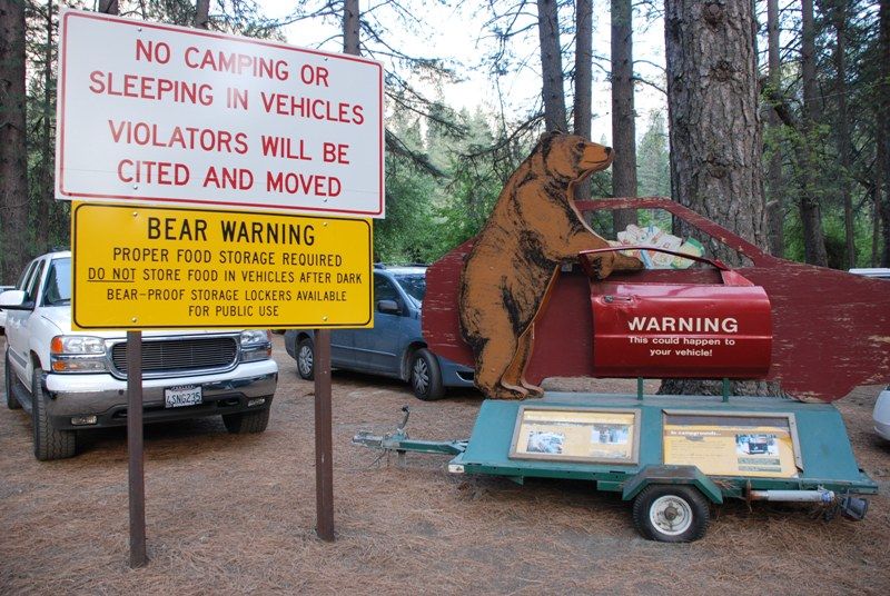Photo of How I survived my first bear encounter alone and unscratched 2/5 by Nicolas Zapata