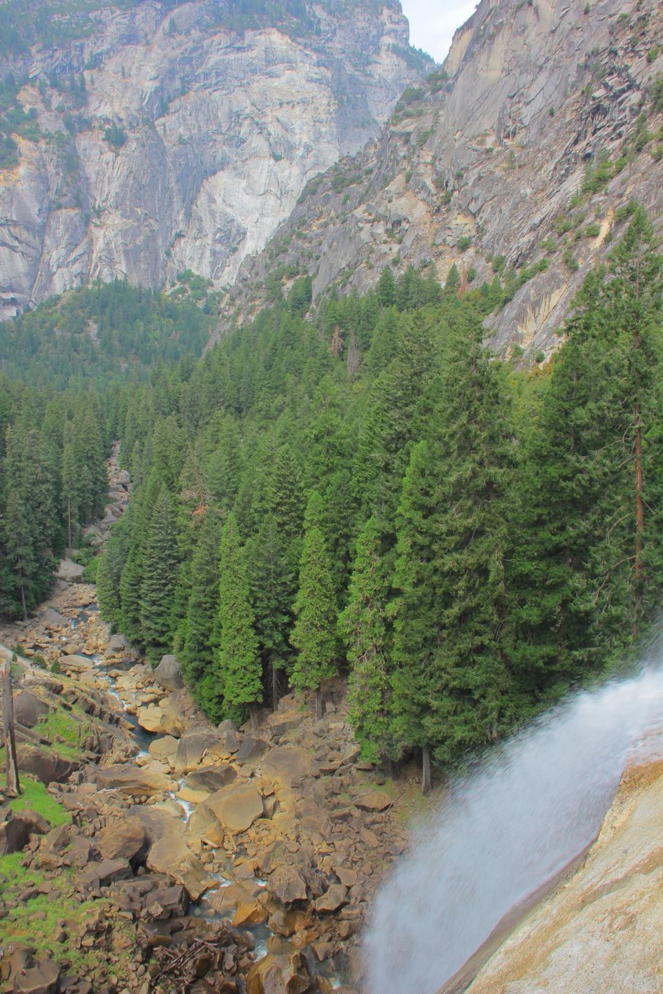 Photo of How I survived my first bear encounter alone and unscratched 3/5 by Nicolas Zapata