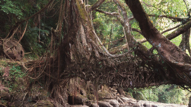 Photo of Mawlynnong, Meghalaya, India by Abhishek Bhan