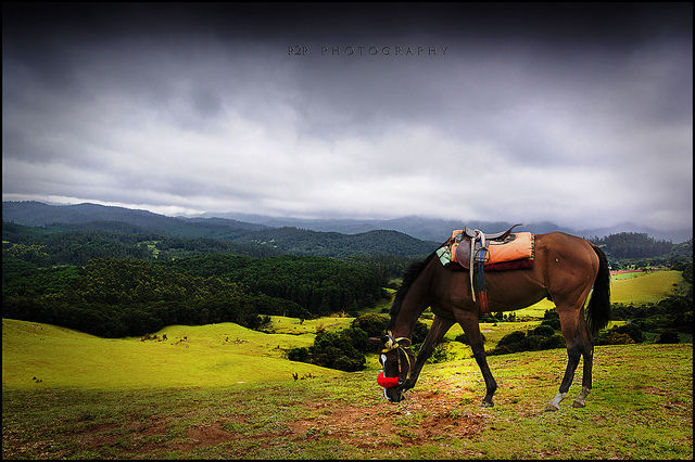 Photo of Off-Season Destinations in India to Score Ridiculous Discounts by Gunjan Upreti