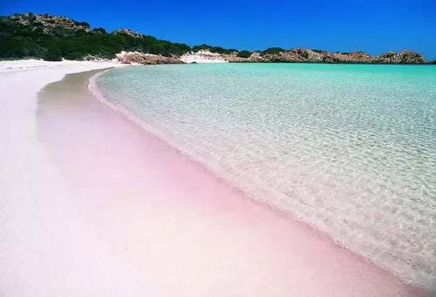 Photo of Pink Beach, Komodo, West Manggarai Regency, East Nusa Tenggara, Indonesia by Arland