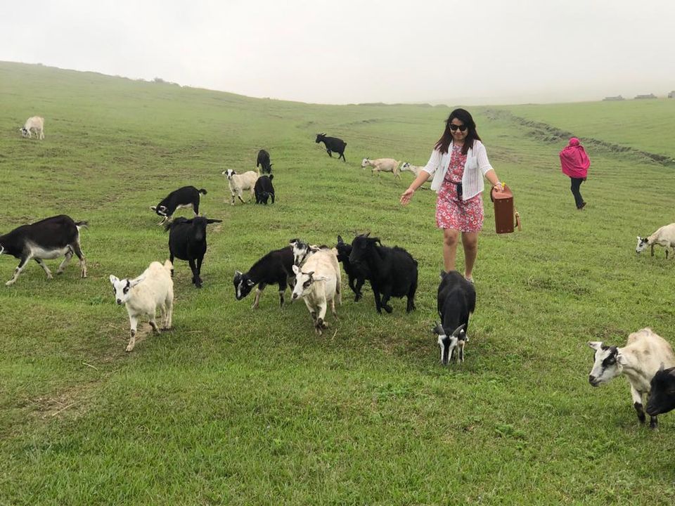 Photo of Laitlum Grand Canyon, Meghalaya, India by Saroja Rai