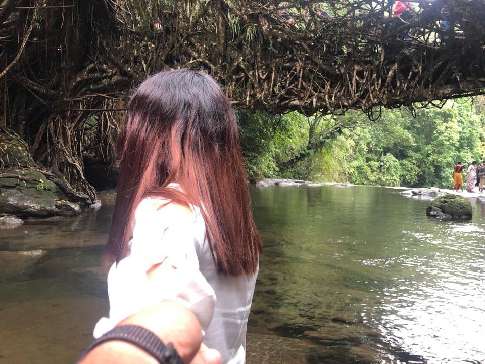 Photo of Living Root Bridge, Mawlynnong, Surok Mawlynnong, Mawlynnong, Meghalaya, India by Saroja Rai