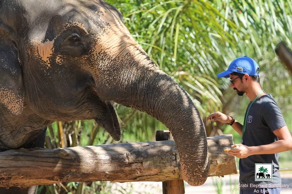 Photo of Krabi Elephant Sanctuary Ao Luek Tai, Ao Luek District, Krabi, Thailand by Vishal Wadhwani