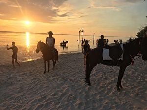 Photo of GILI ISLANDS TRAVEL GUIDE FROM INDIA by Vishal Wadhwani
