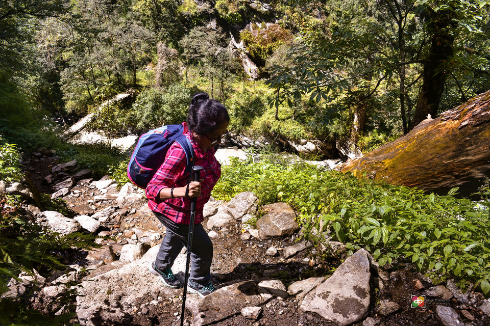 Photo of Har-Ki-Doon Trek: Team Spirit Does Matter! 4/7 by Devi
