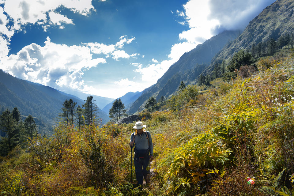 Photo of Har-Ki-Doon Trek: Team Spirit Does Matter! 6/7 by Devi