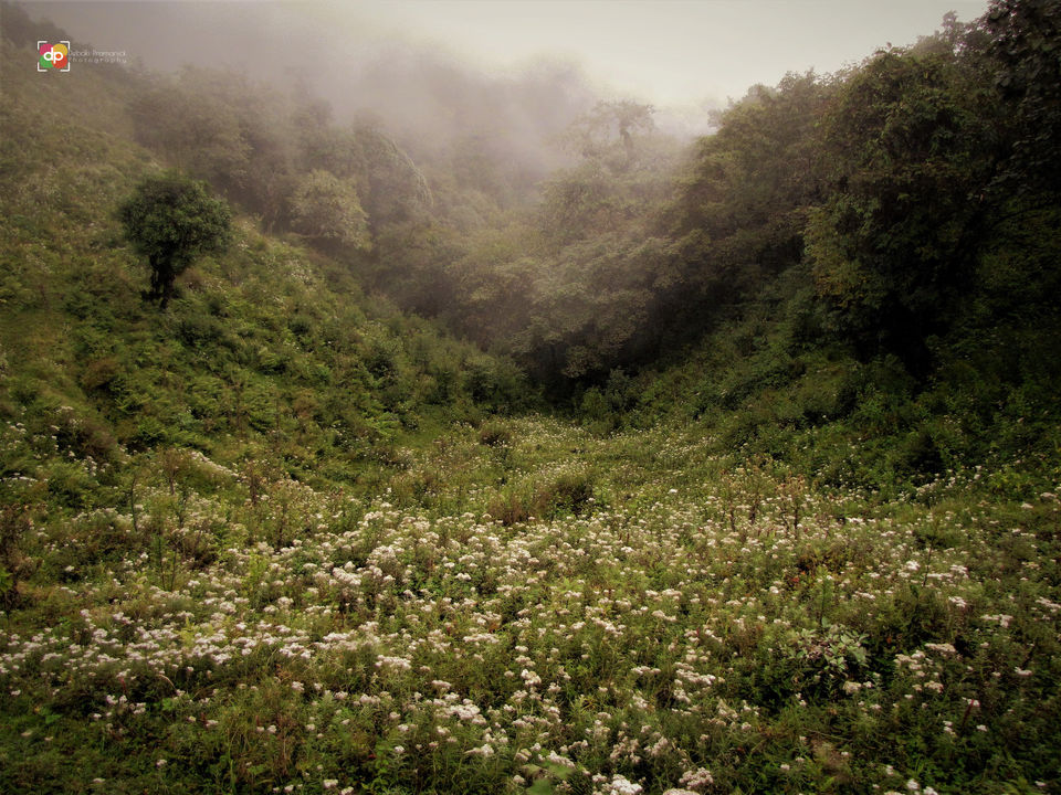 Photo of 5 Basic Trekking/Hiking Etiquettes 1/7 by Devi