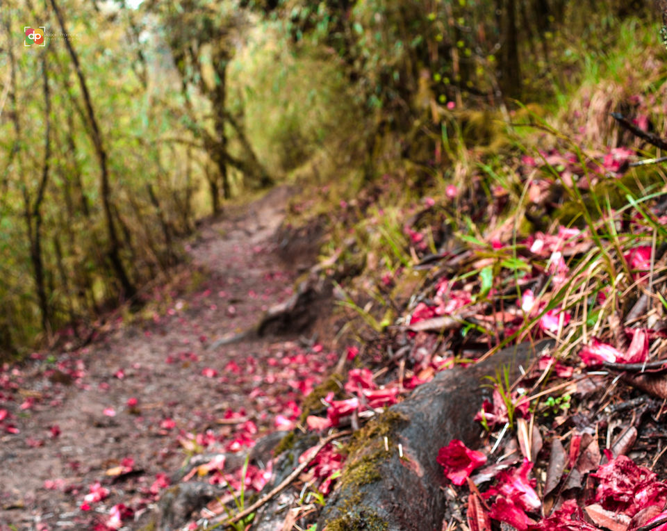 Photo of 5 Basic Trekking/Hiking Etiquettes 5/7 by Devi
