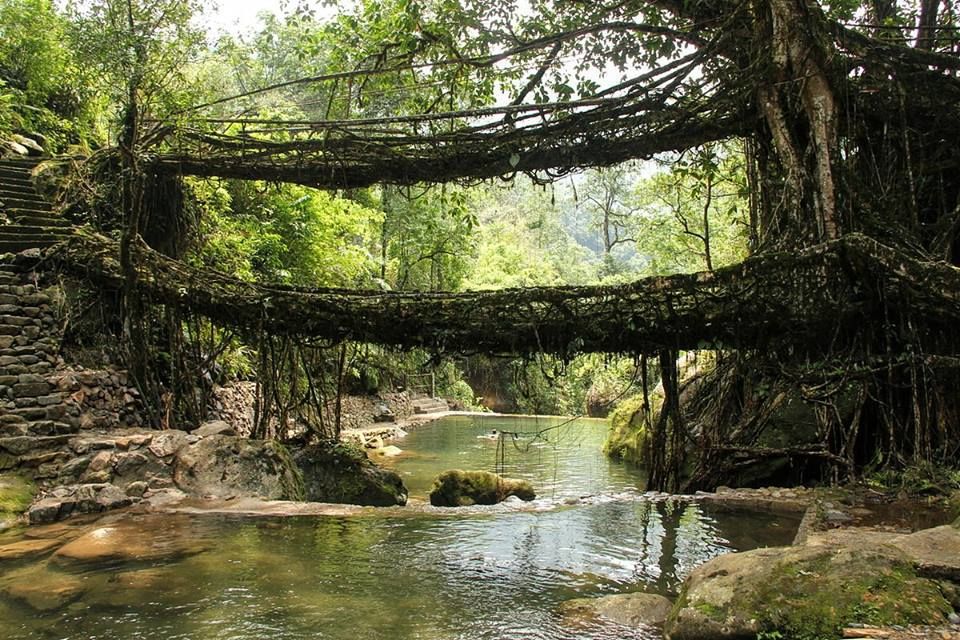 Photo of Guwahati, Shillong, Cherrapunjee Tour 4 N / 5 D by sana parveen