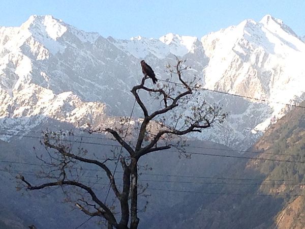 Photo of What are you missing out in this summer? 4/4 by Inshaa Khurshiid