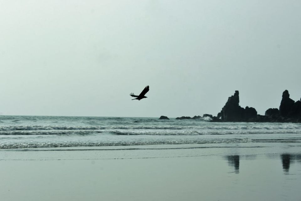 Photo of Arambol Beach, Arambol, Goa by Grapple Studios