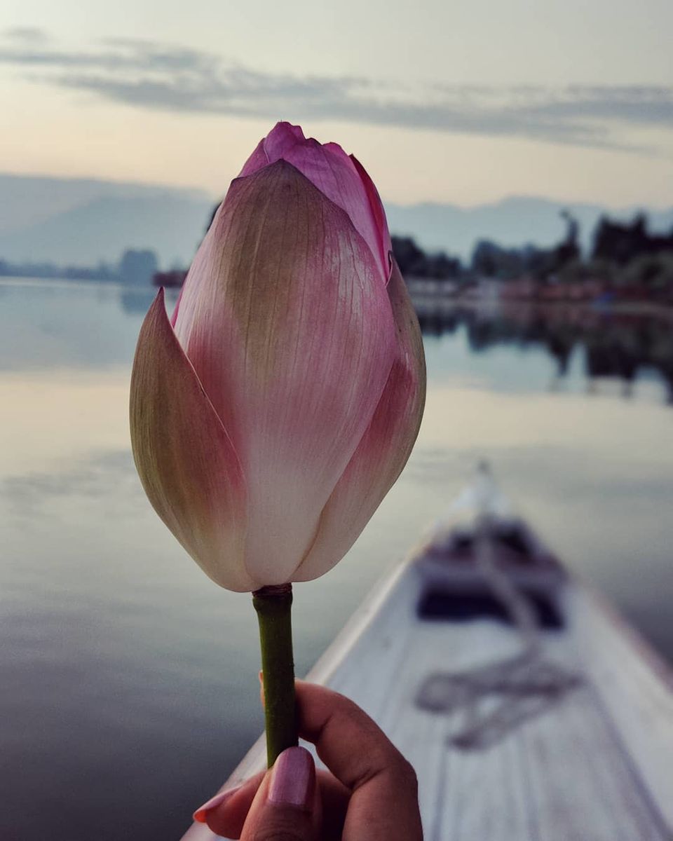 Photo of Three days in Kashmir 10/14 by Anupriya Kapur