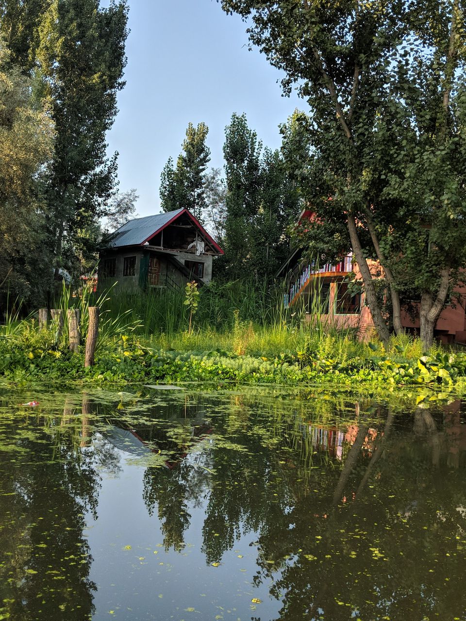 Photo of Three days in Kashmir 12/14 by Anupriya Kapur
