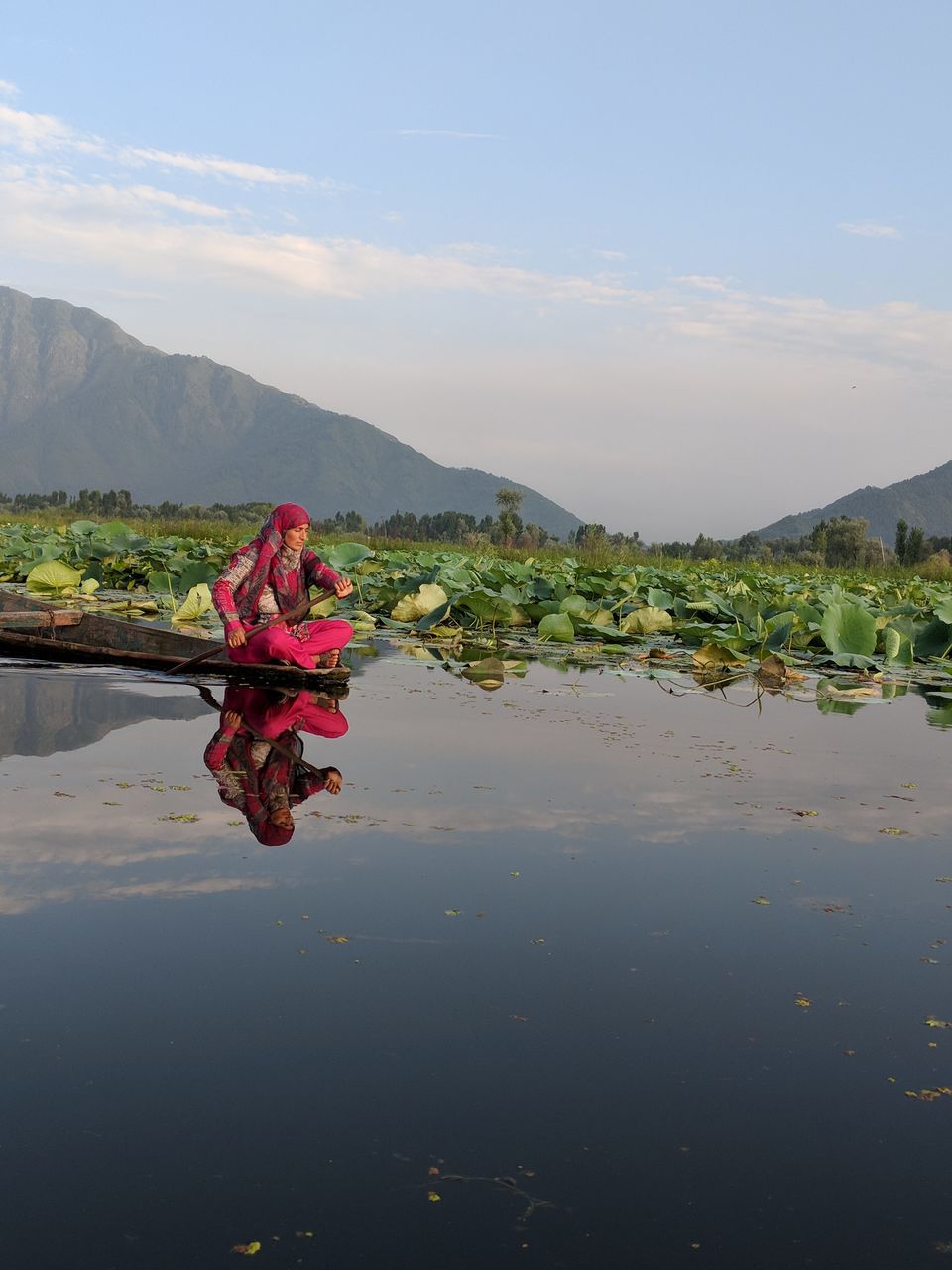 Photo of Three days in Kashmir 13/14 by Anupriya Kapur