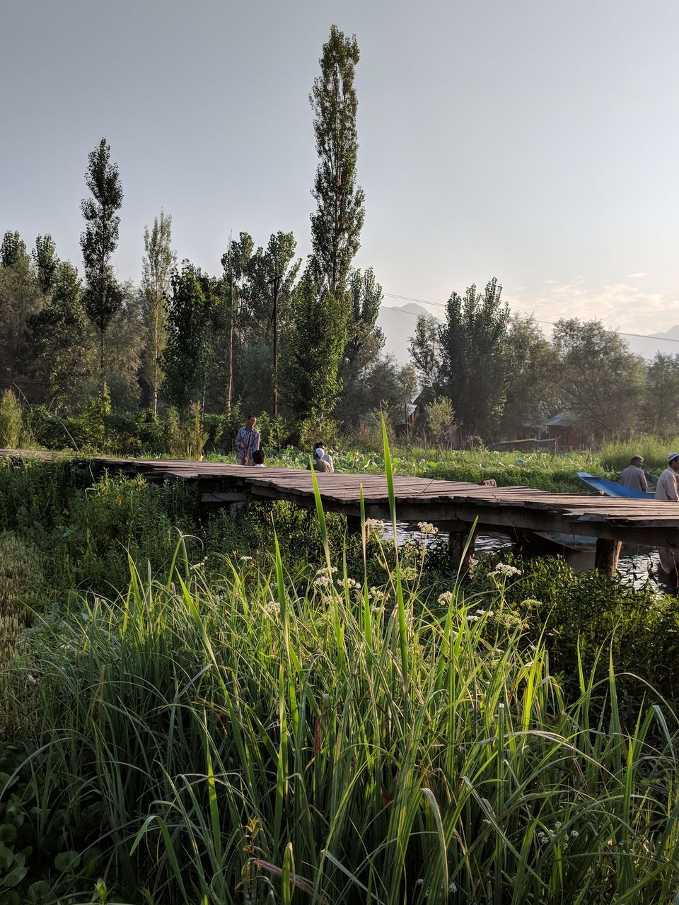 Photo of Three days in Kashmir 14/14 by Anupriya Kapur