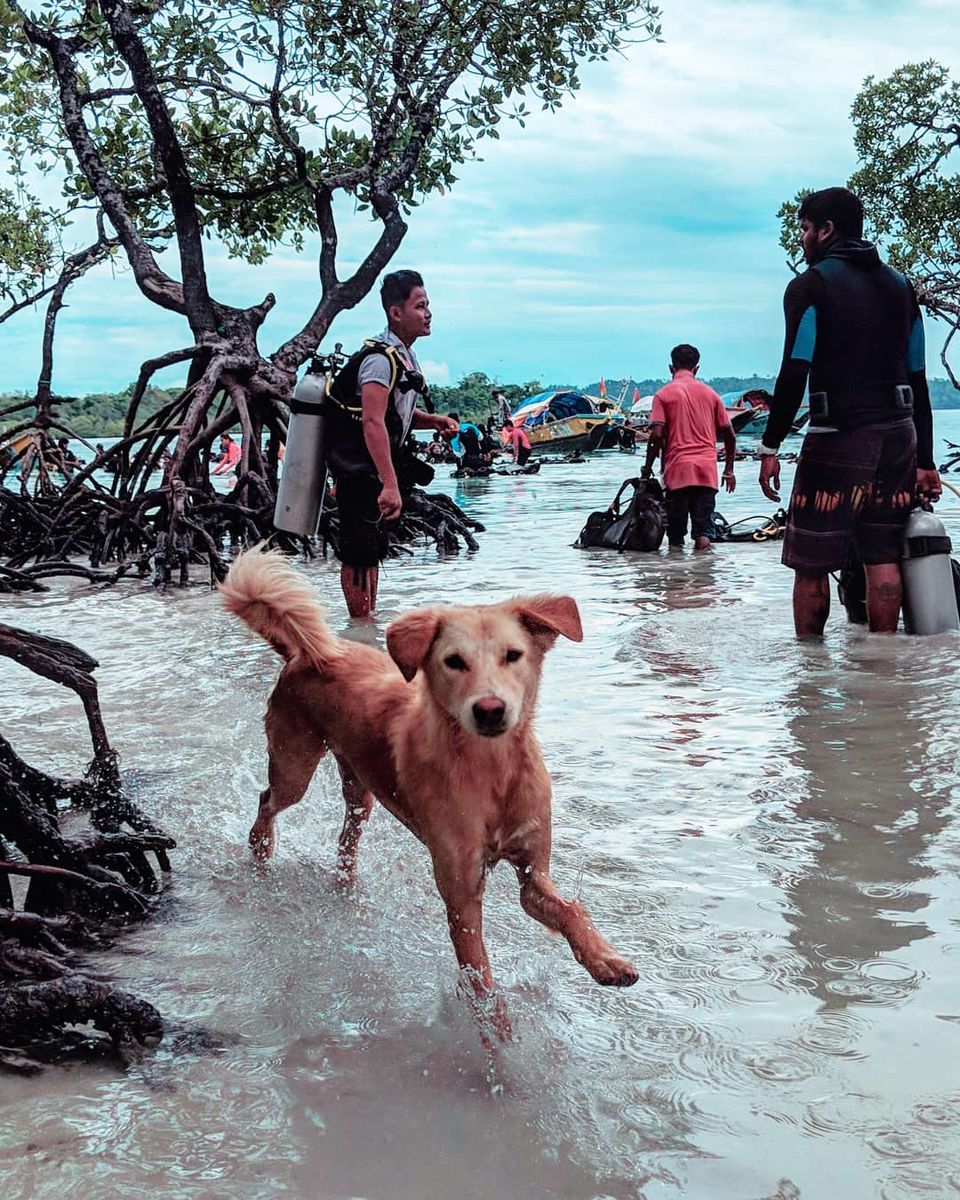 Photo of A trip to Andamans 8/18 by Anupriya Kapur