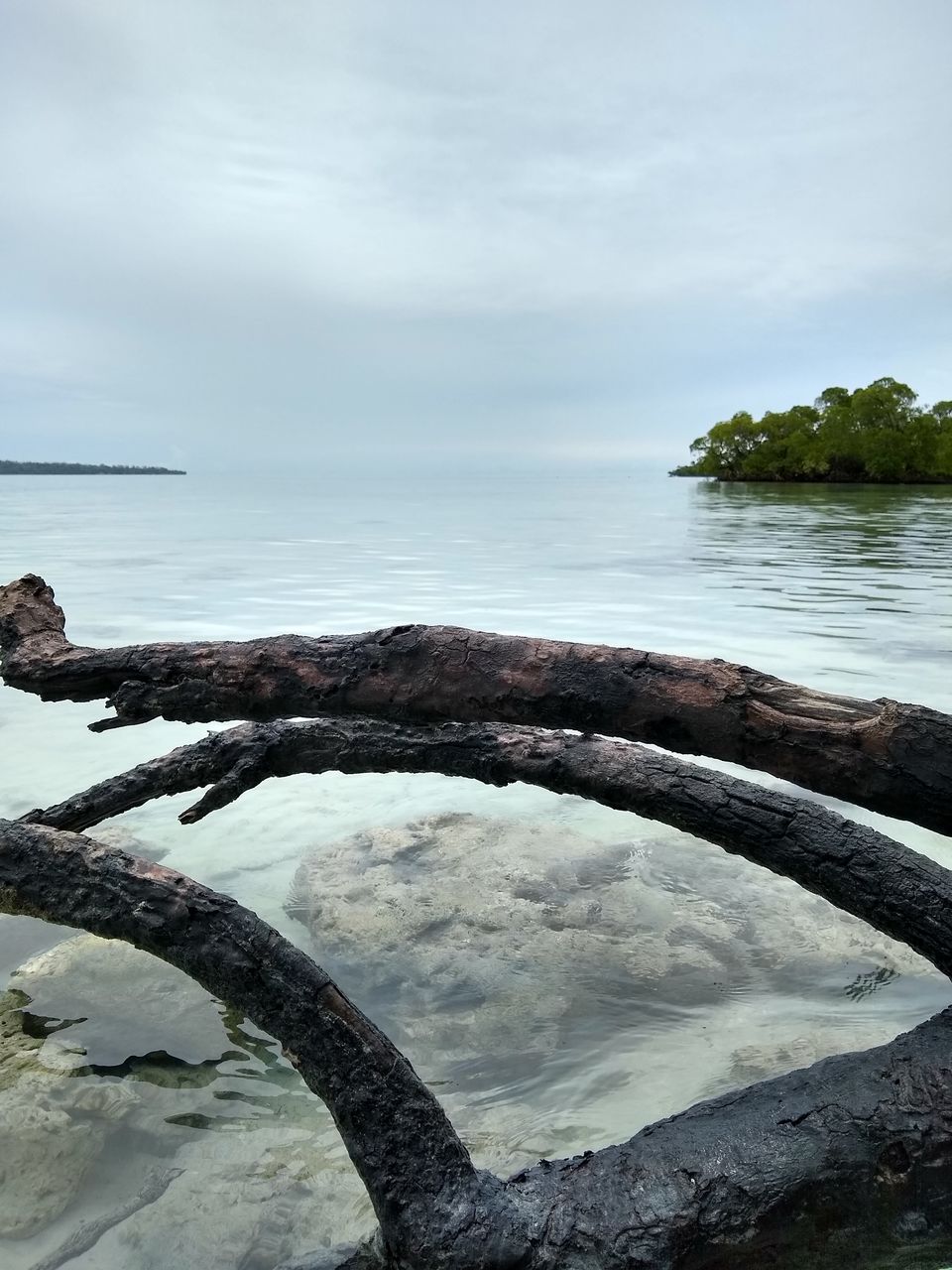 Photo of A trip to Andamans 18/18 by Anupriya Kapur