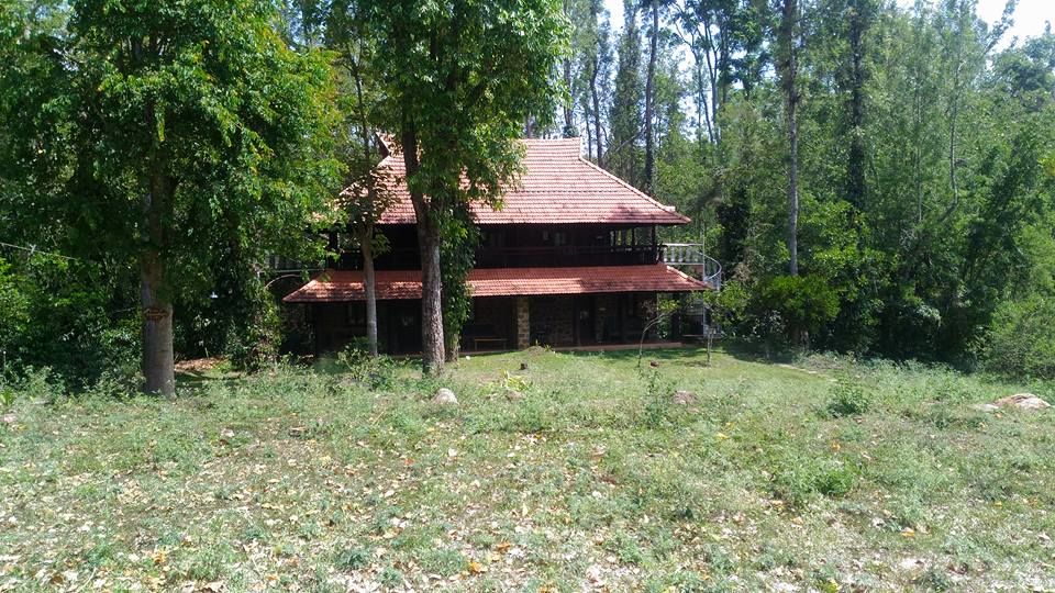 Photo of Kodaikanal, Tamil Nadu, India by Ramya