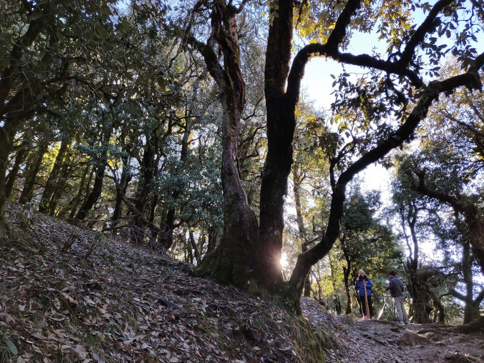 Photo of A crazy trek to Nag-Tibba by Shashank Jain