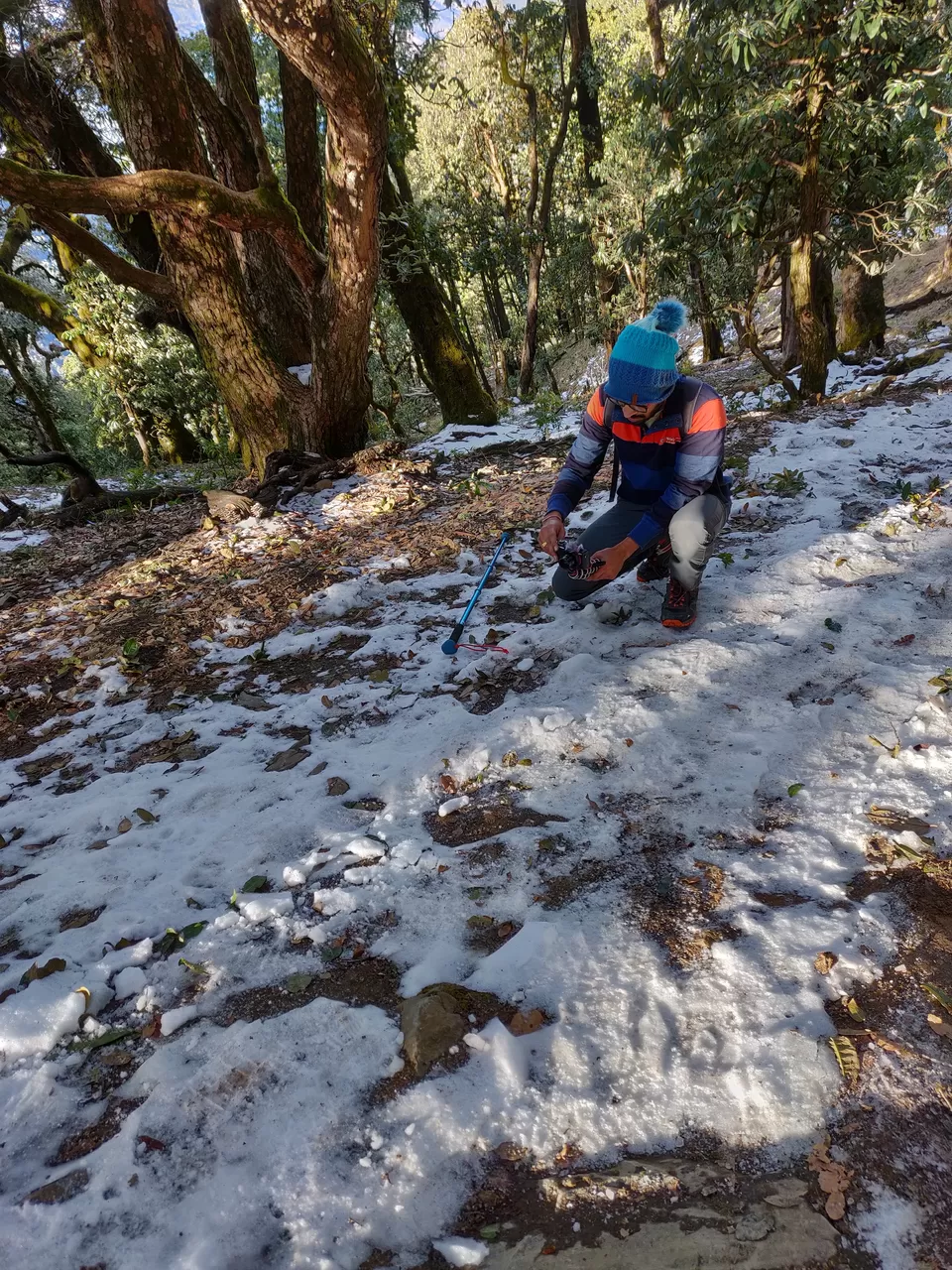 Photo of A crazy trek to Nag-Tibba by Shashank Jain