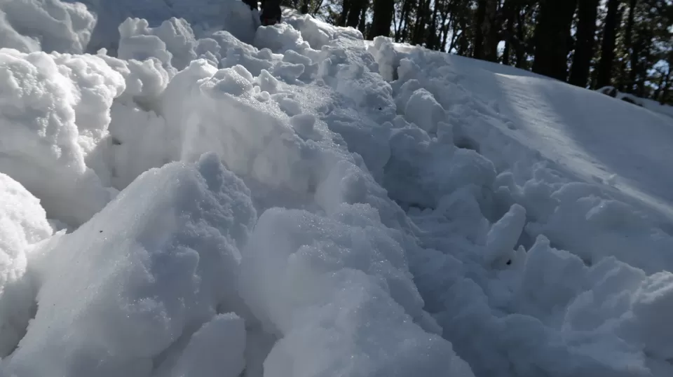 Photo of A crazy trek to Nag-Tibba by Shashank Jain