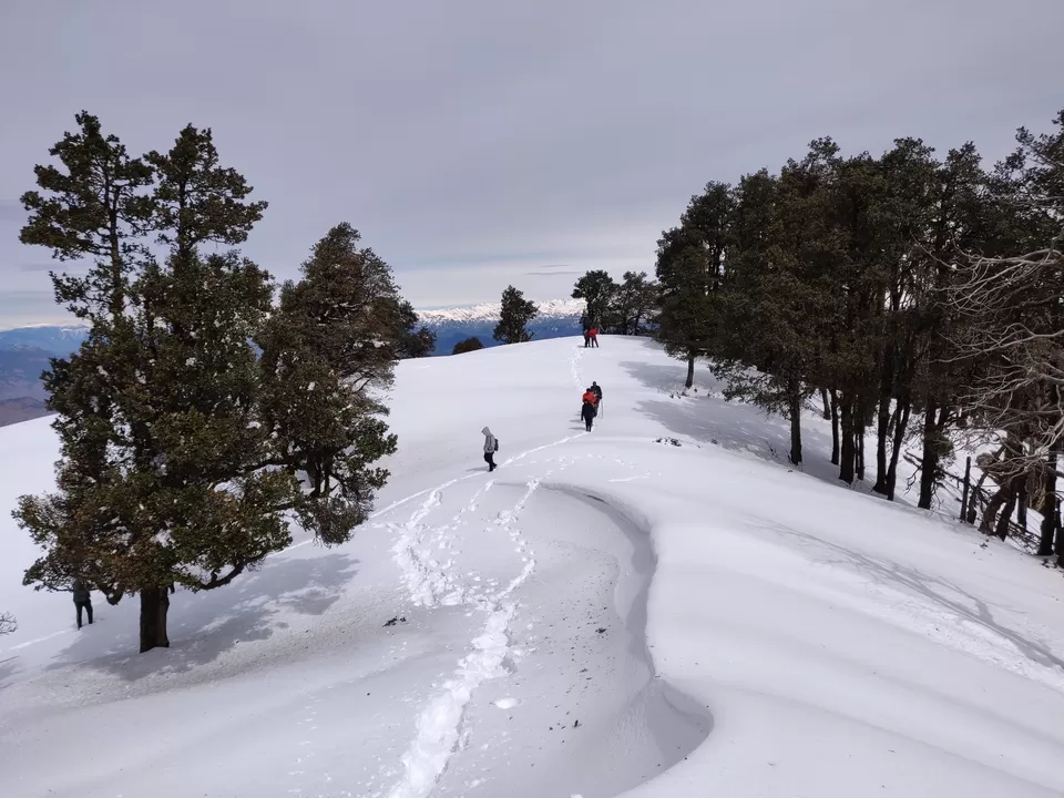 Photo of A crazy trek to Nag-Tibba by Shashank Jain