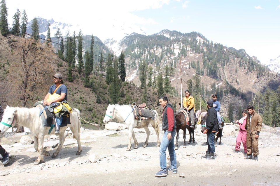 Photo of Solang Valley, Burwa, Himachal Pradesh, India by Rustam Singh