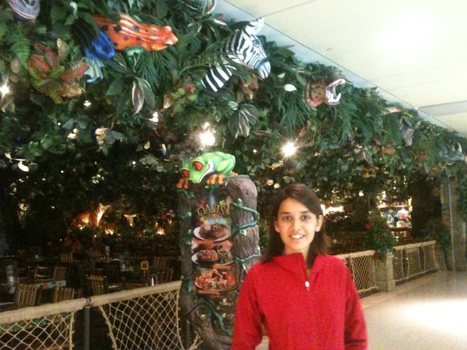 Photo of The Westin Galleria Houston, West Alabama Street, Houston, TX, United States by Gargi Vishnoi