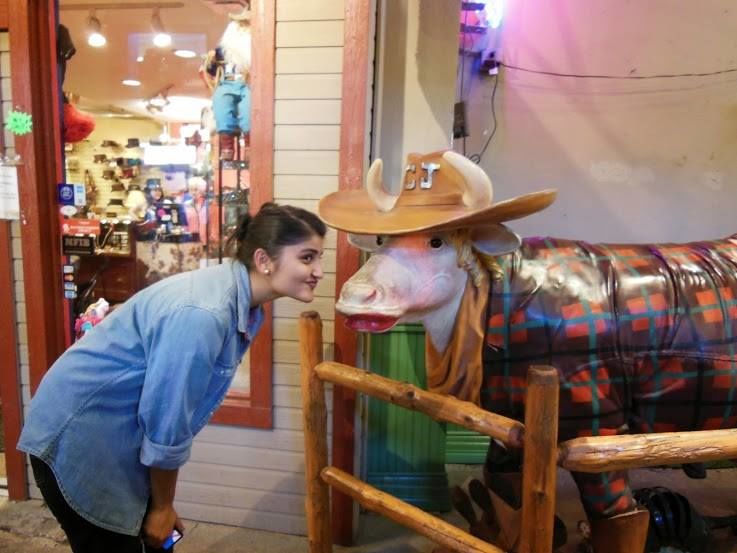 Photo of Fort Worth, TX, United States by Gargi Vishnoi