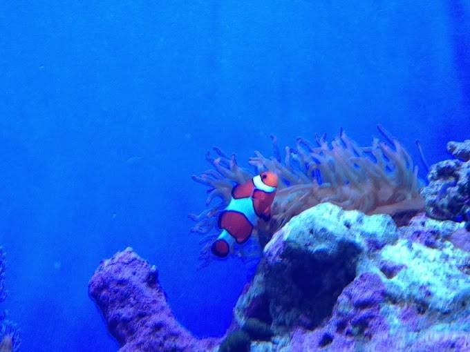 Photo of Sea World Drive, San Antonio, TX, United States by Gargi Vishnoi