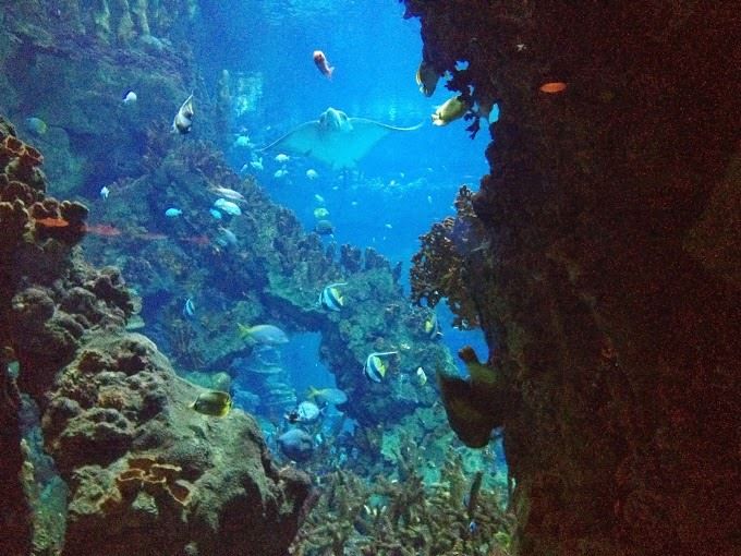 Photo of Sea World Drive, San Antonio, TX, United States by Gargi Vishnoi