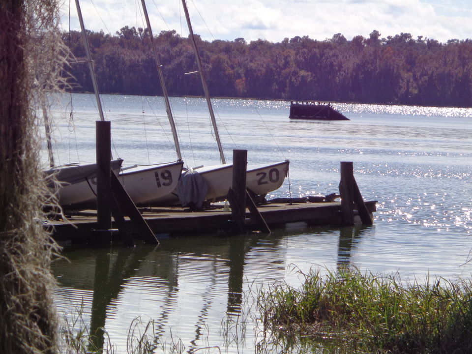 Photo of Lake Wauburg, Alachua County, FL, United States by Gargi Vishnoi