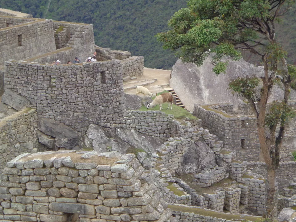 Photo of Machu Picchu, Aguas Calientes, Cusco, Peru by Gargi Vishnoi