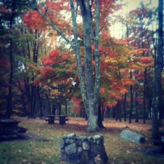 Photo of Grafton, MA, United States by Gargi Vishnoi