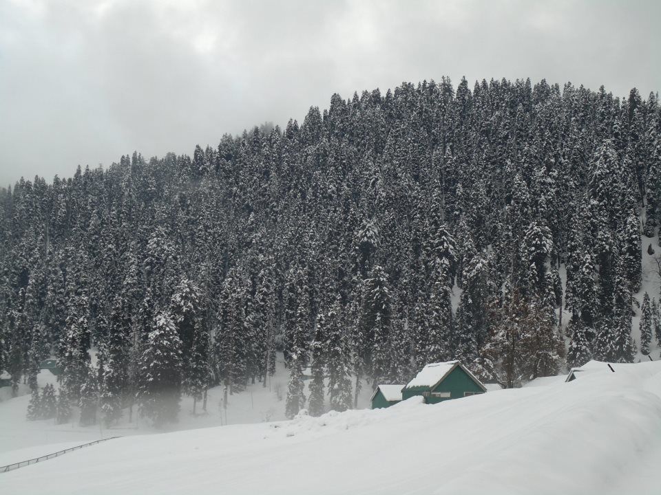 Photo of Skiing and Gulmarg go hand in hand 1/11 by Gargi Vishnoi