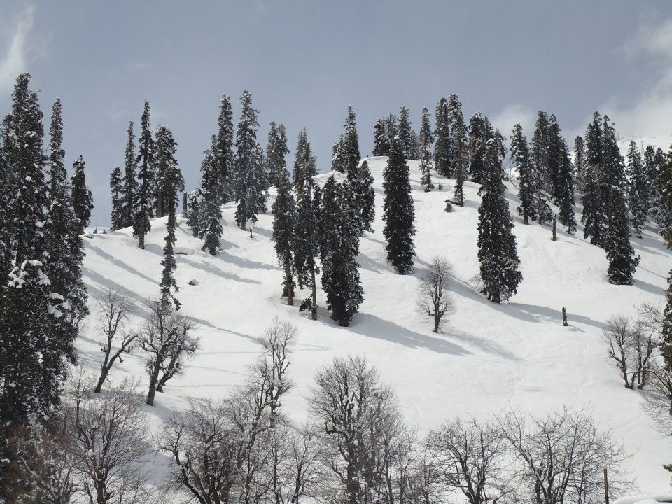 Photo of Skiing and Gulmarg go hand in hand 8/11 by Gargi Vishnoi