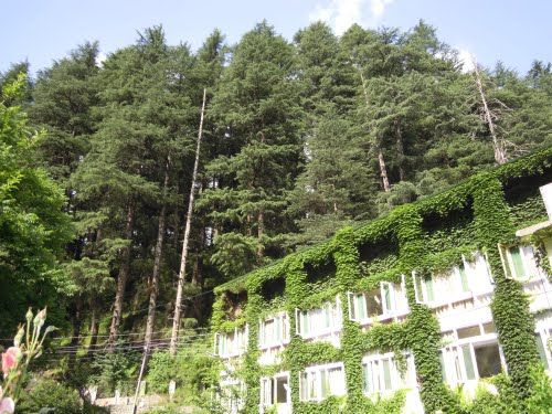 Photo of Old Manali, Manali, Himachal Pradesh, India by Gayatri Manu