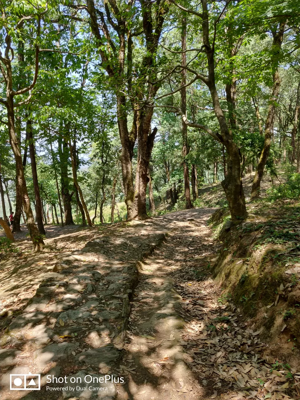 Photo of Nainital- a picture perfect summer retreat by vineet dubey