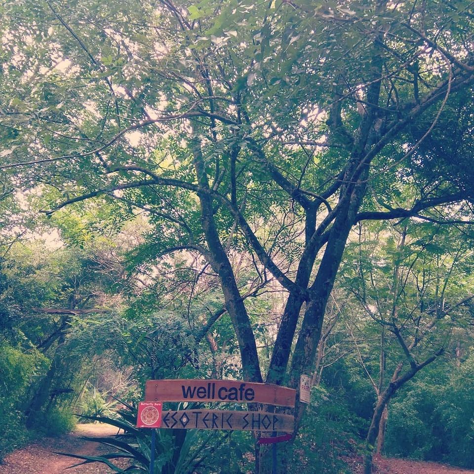 Photo of Well Cafe, Auroville, Bommayapalayam, Tamil Nadu, India by SAI MANOHAR CH