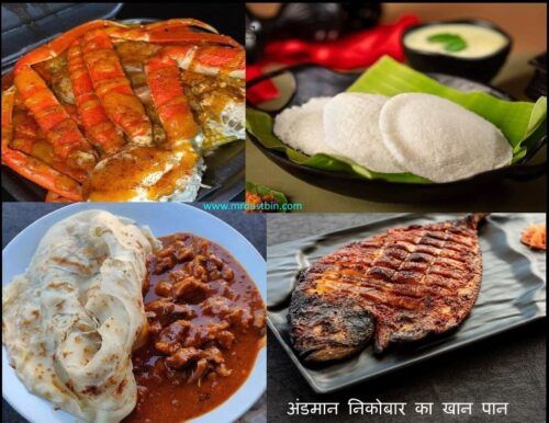 Photo of अंडमान निकोबार घूमने के लिए आपके पास बजट कितना होना चाहिए by kapil kumar