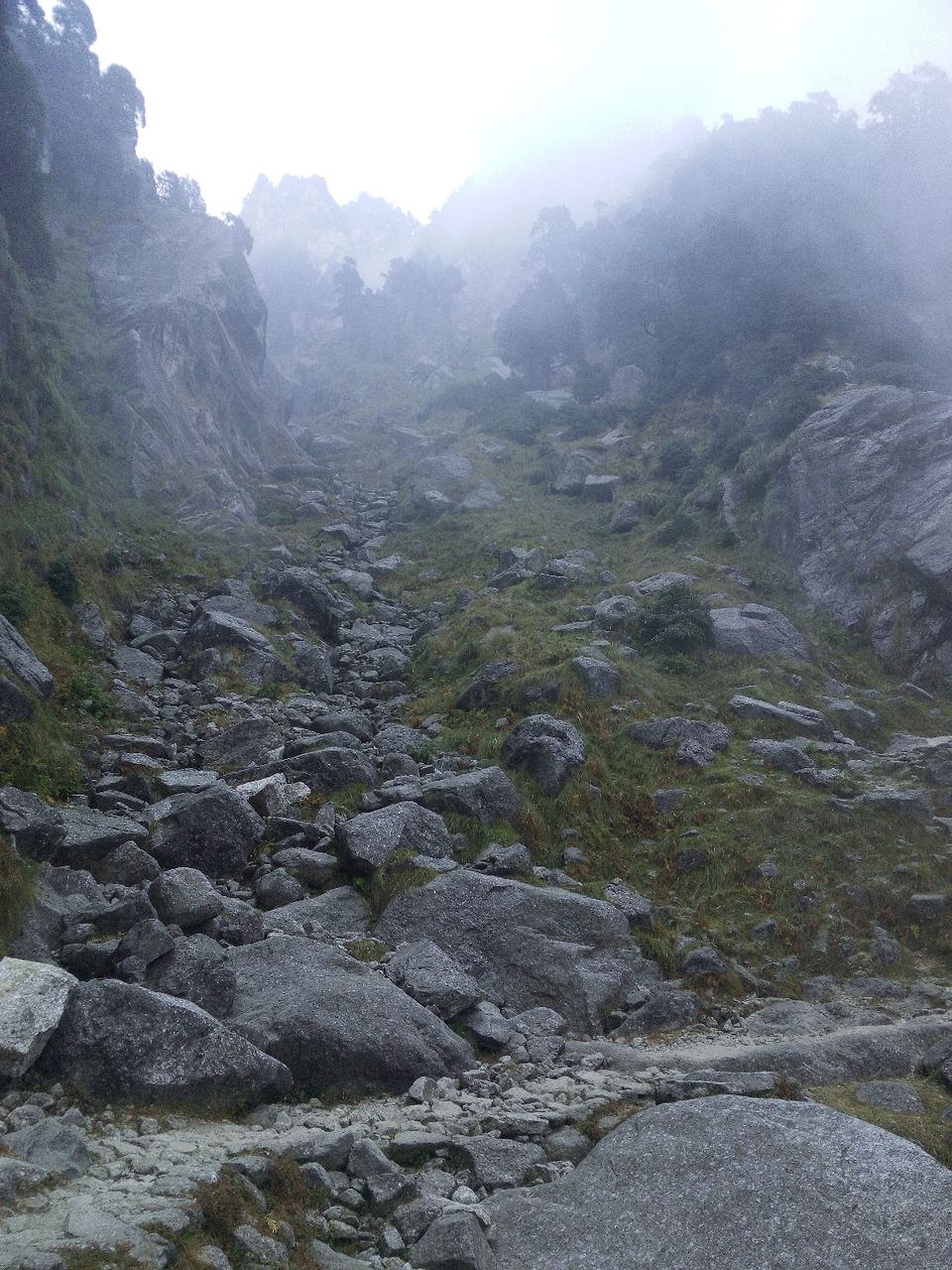 Photo of Triund trek: A perfect weekend outing. by Shubhankit Upadhyay