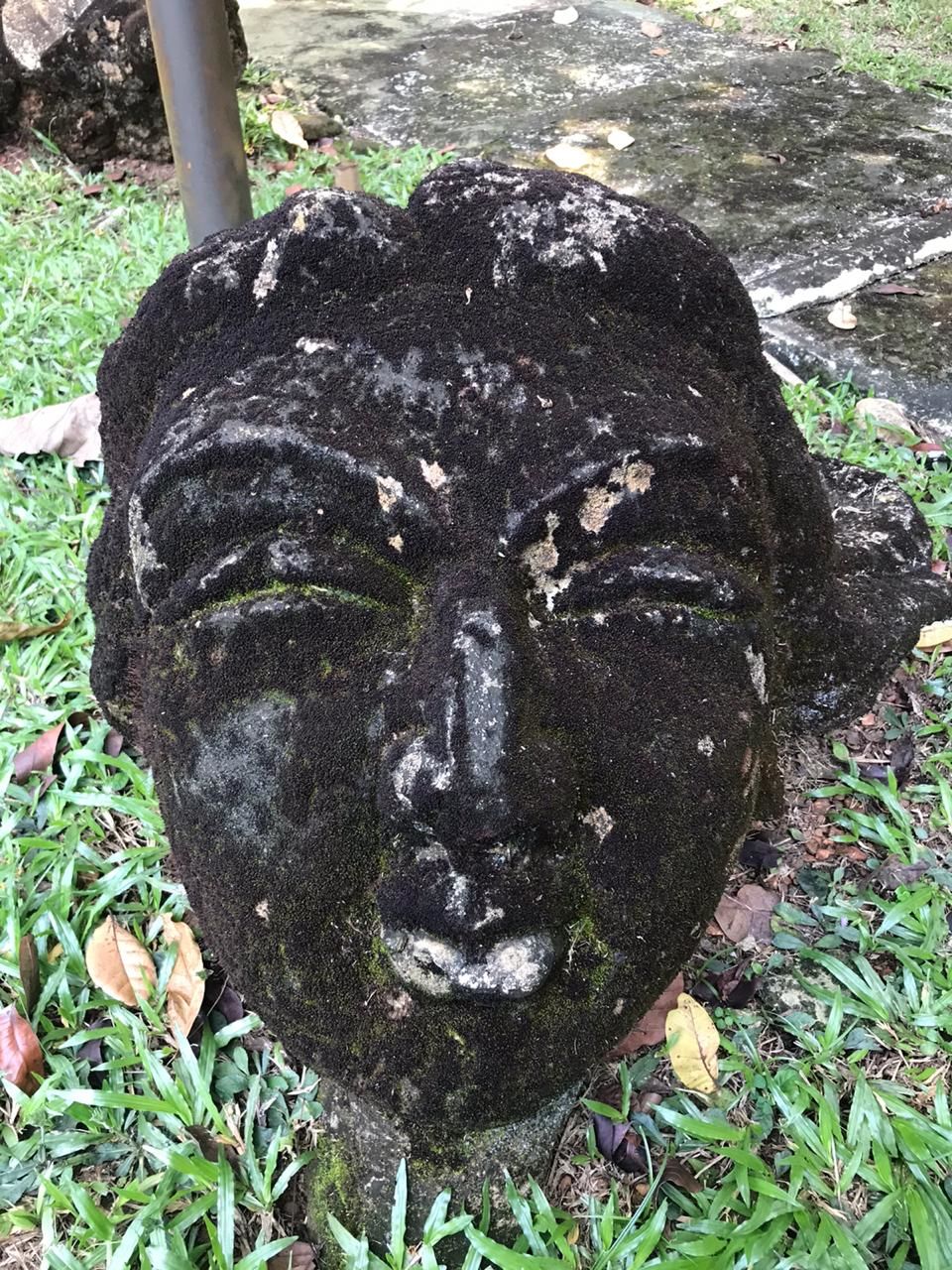 Photo of We headed to a Ayurveda Wellness Center instead of a fancy honeymoon destination..here's why? by Shweta Rathaur