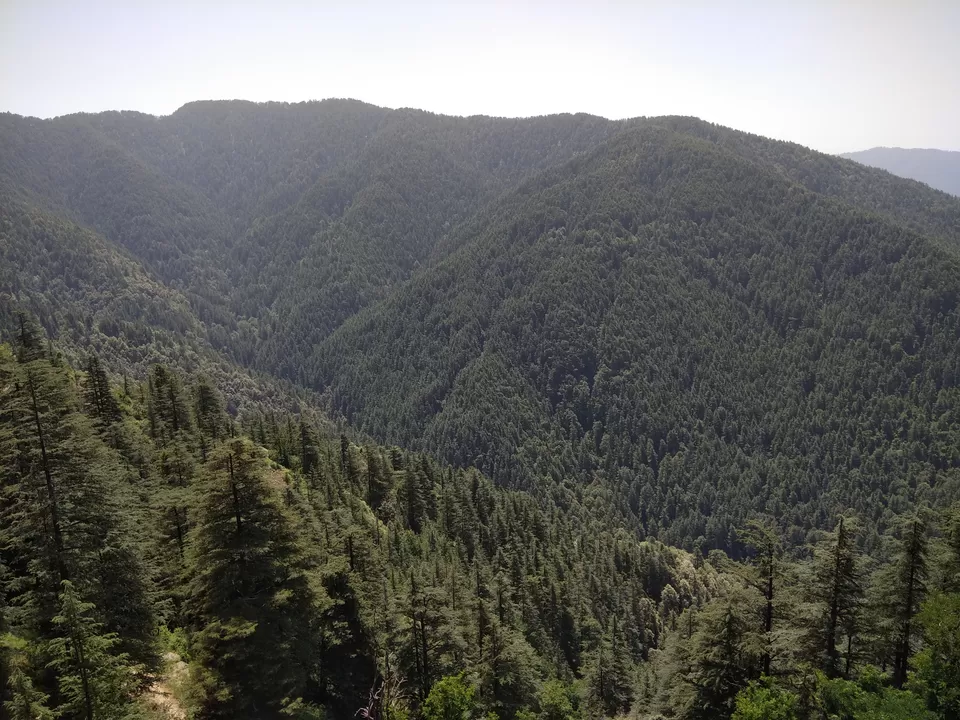 Photo of Green Valley, Shimla, Kufri, Himachal Pradesh, India by Sushmita Joshi