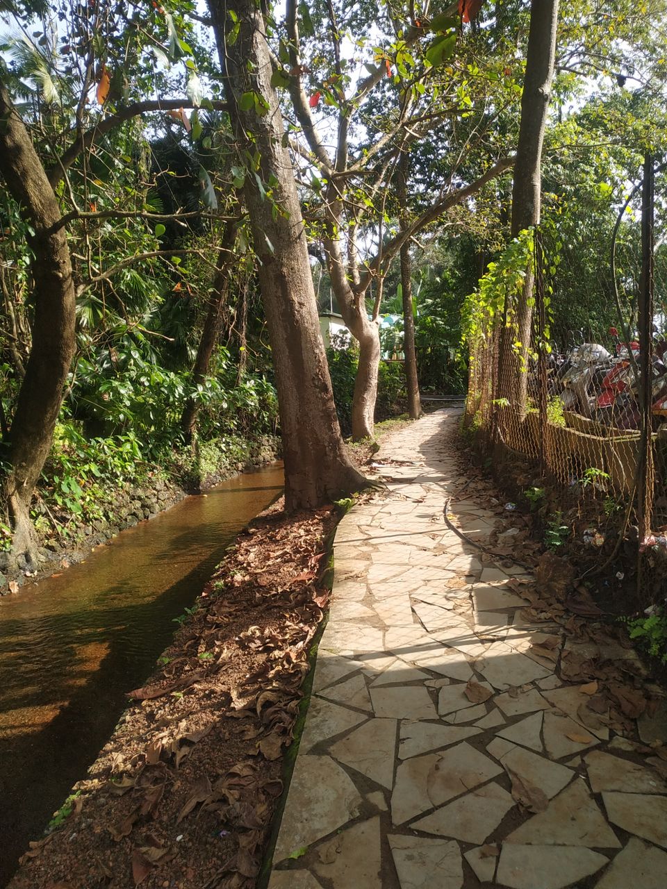 Photo of Vainguinim Beach, Goa by Rishabh Vishnoi