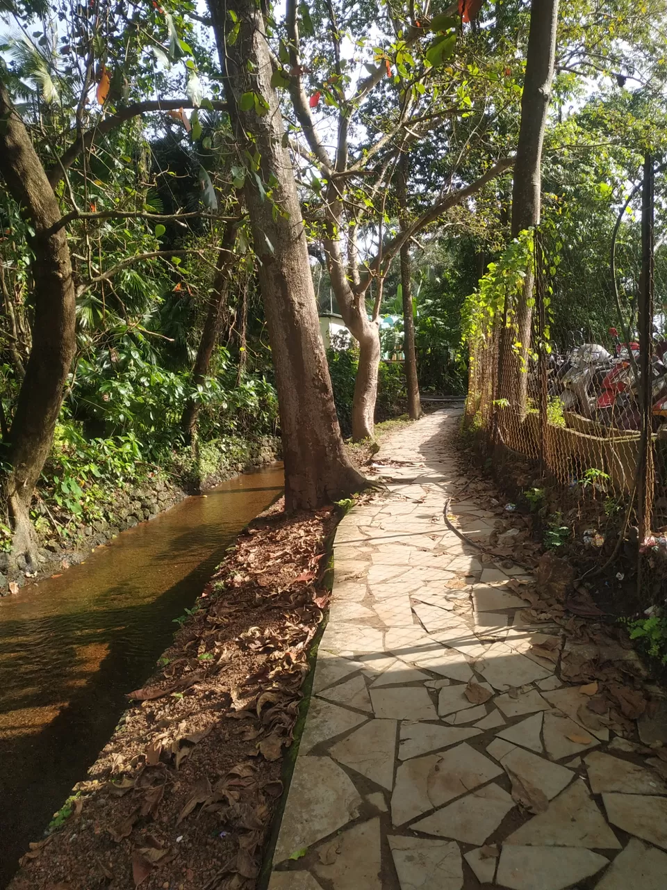 Photo of Vainguinim Beach, Goa by Rishabh Vishnoi