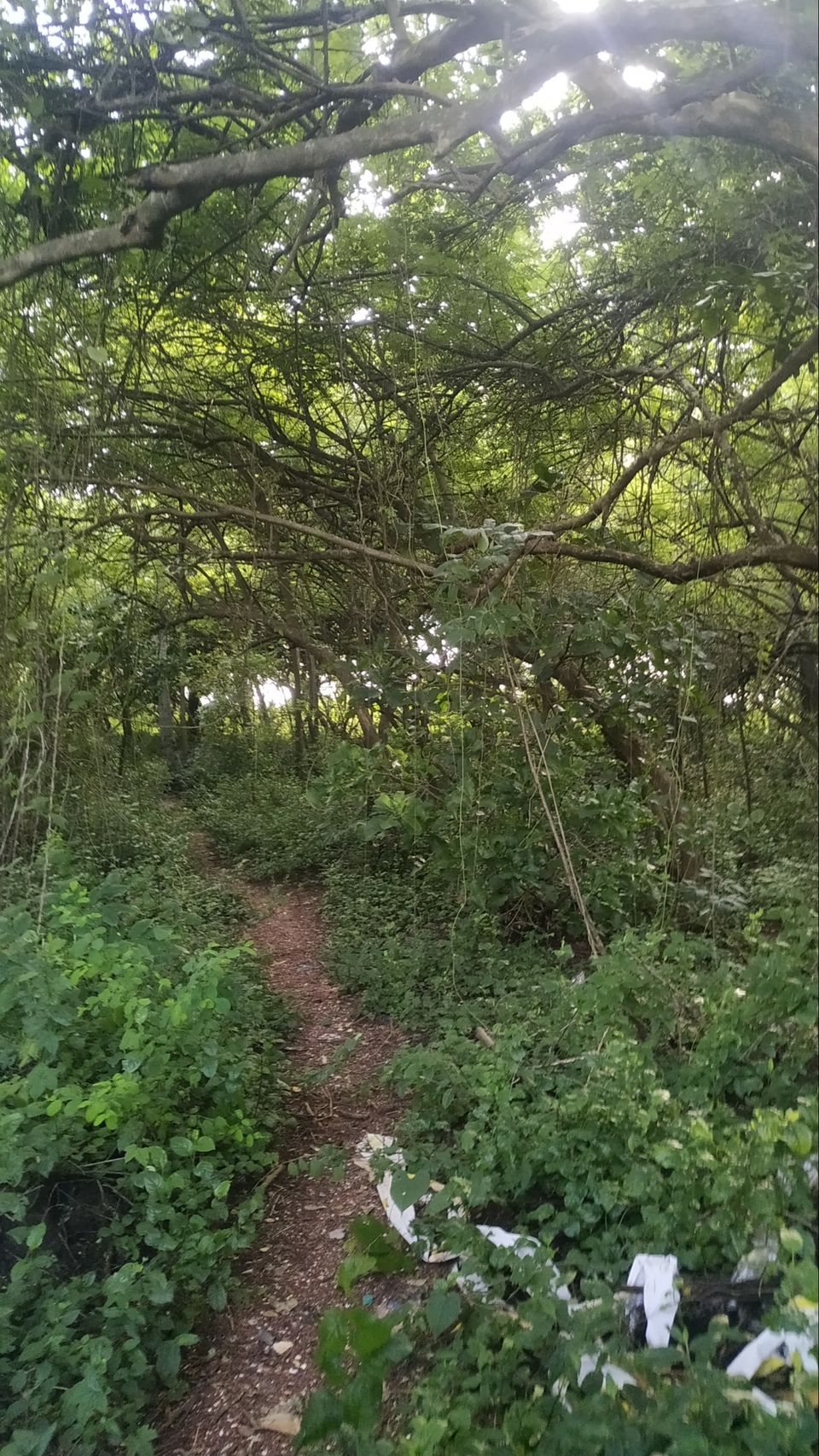 Photo of Siridao Beach, Siridao, Goa, India by Rishabh Vishnoi