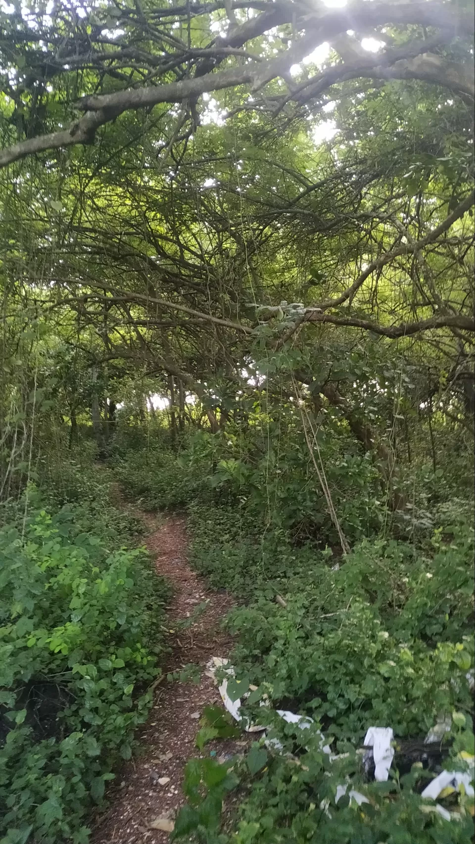 Photo of Siridao Beach, Siridao, Goa, India by Rishabh Vishnoi