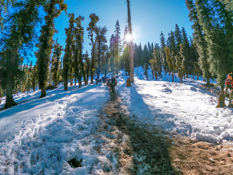 Photo of Kedarkanth Trek (Part 1.1) by Aarya Tagade
