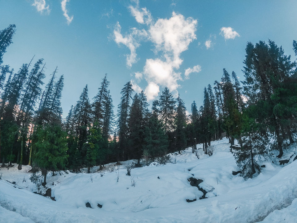 Photo of Kedarkanth Trek (Part 1.1) by Aarya Tagade